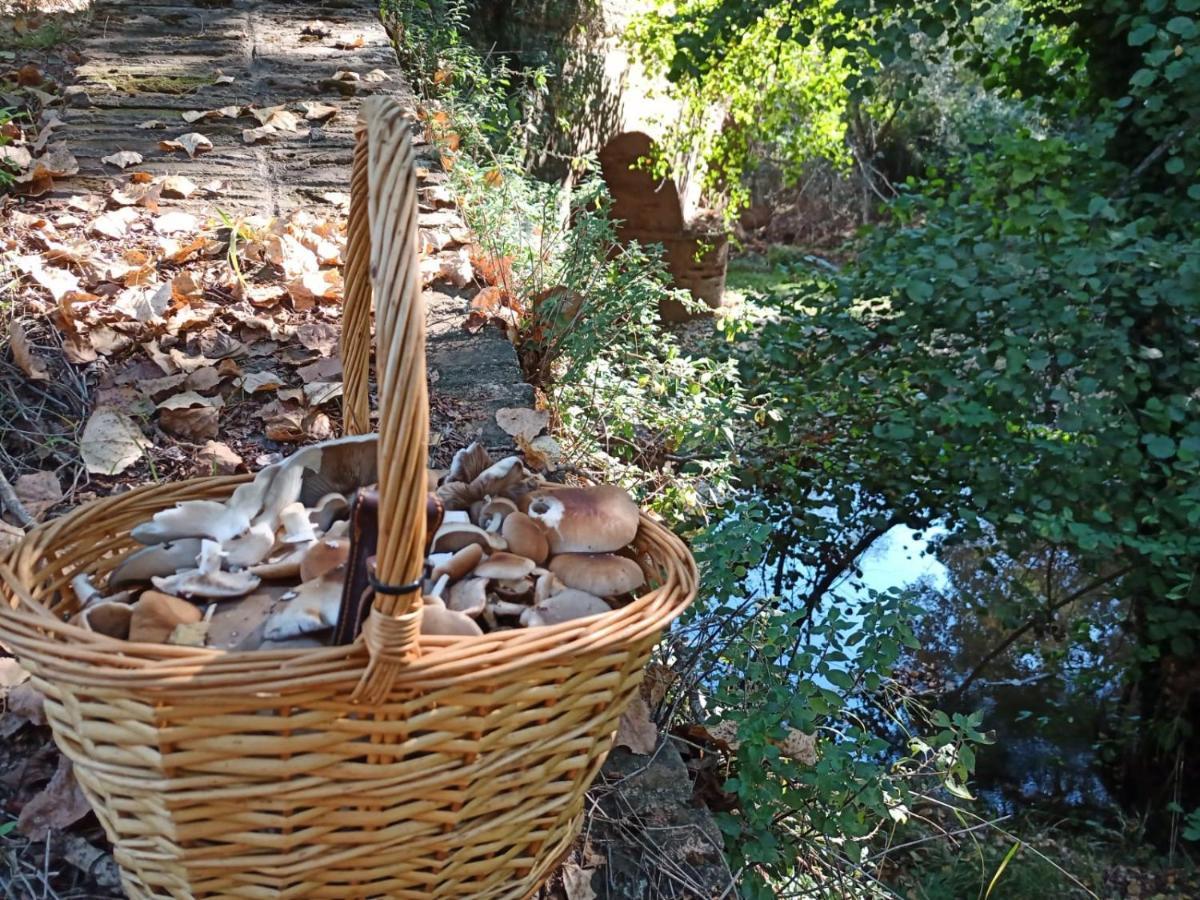 Casa Monte Los Peñasquitos Cazalla de la Sierra Exterior foto